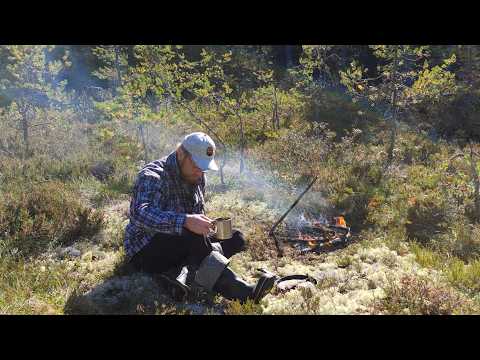 Видео: Озеро крупных окуней | Жаренная на костре рыба. Крайняя рыбалка лета.