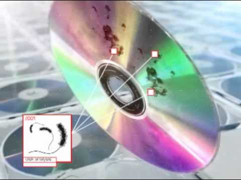 Видео: ТНТ- Дизайн
