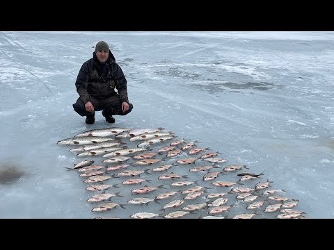 Видео: ЗАКРЫТИЕ ЗИМНЕГО СЕЗОНА НА КВХ.  ЛЕЩ РВЁТ МОРМЫШКИ.  ЧАСТЬ 2.
