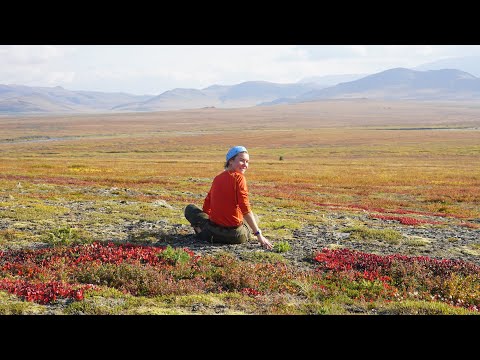 Видео: поход Полярный Урал, сентябрь, 2024, ч 3