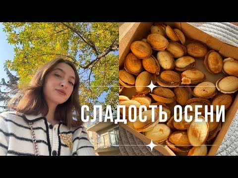 Видео: Я просто хотела пару орешков… но что-то пошло не так 🍯😱