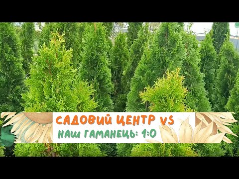 Видео: Продовжуємо озелення ділянки. Без туй - ніяк)