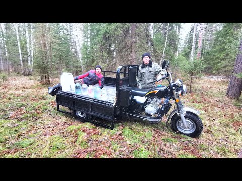 Видео: Сбор берёзового сока. Самый простой способ.
