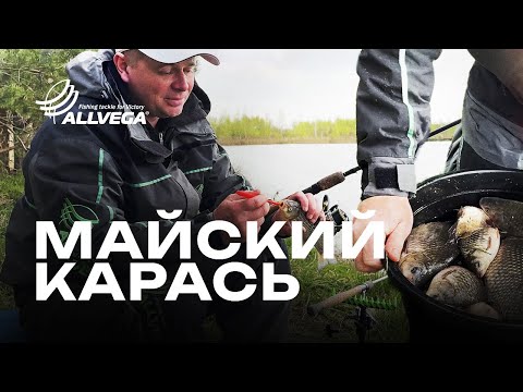 Видео: Не поймаешь, если покормишь или ловля весеннего карася