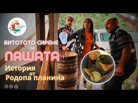 Видео: Пашата и истинското бито сирене, масло и извара, направени в мандра, както  е било преди сто години