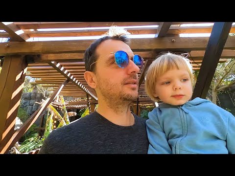 Видео: Аквариум Пальма-де-Майорка ( PALMA AQUARIUM )! Последний наш день на острове!