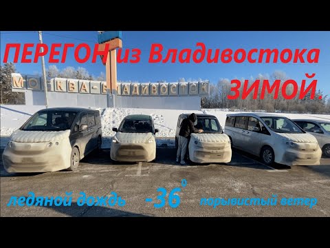 Видео: Перегон из Владивостока Honda Toyota Suzuki .