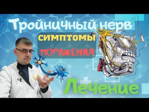 Видео: Тройничный нерв