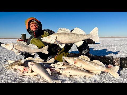 Видео: НАШЛИ ЛОГОВО ОГРОМНЫХ СУДАКОВ! СЛАБОНЕРВНЫМ РЫБАКАМ НЕ СМОТРЕТЬ! Рыбалка с КОМФОРТОМ 2023!