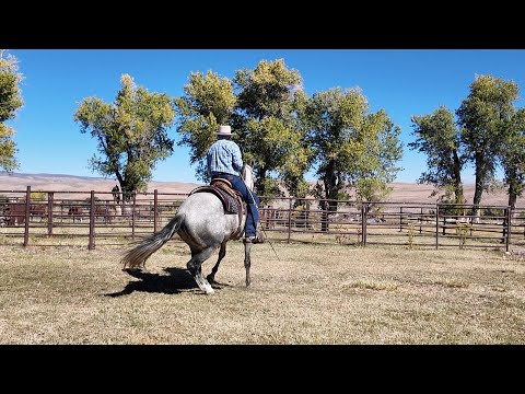 Видео: Демонстрация лопаточного долота с Chinaco