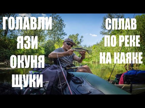 Видео: Голавли, язи, щуки, окуня. Двухдневный сплав на каяке. Уха, рыба на углях. Байки у костра)