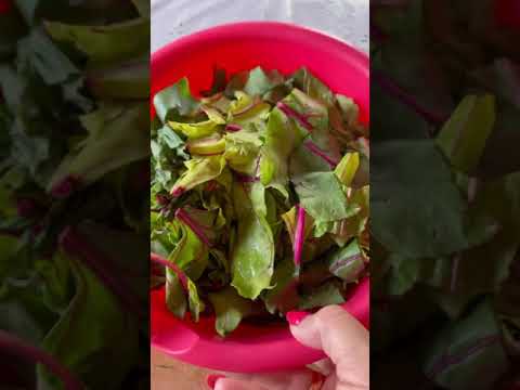 Видео: Борани по-армянски ( свекольная ботва)