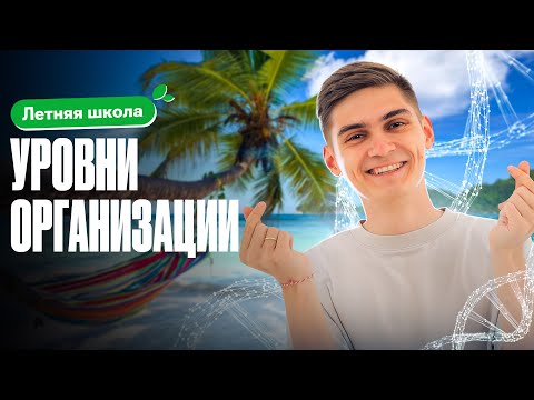 Видео: РАЗБИРАЕМ: уровни организации | Летняя школа 100Б | Марк Ламарк