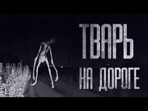 Видео: TBAPЬ НА ДОРОГЕ... Страшные истории из жизни. Страшилки на ночь. Хоррор. Фильмы Ужасов