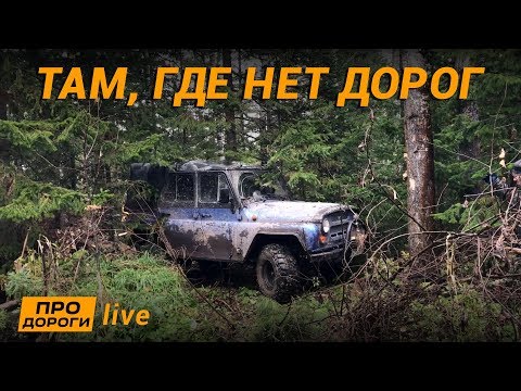 Видео: Тот момент, когда ошибся с маршрутом. Абсолютный лайф. Бездорожье.