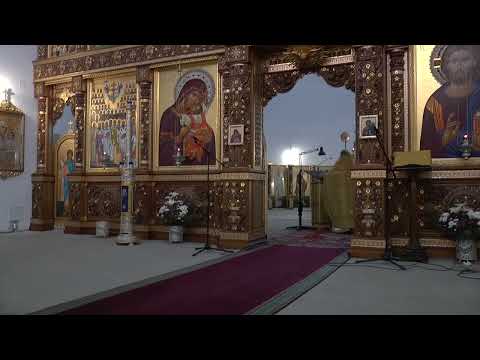 Видео: Литургия воскресная Дня  14 11 21