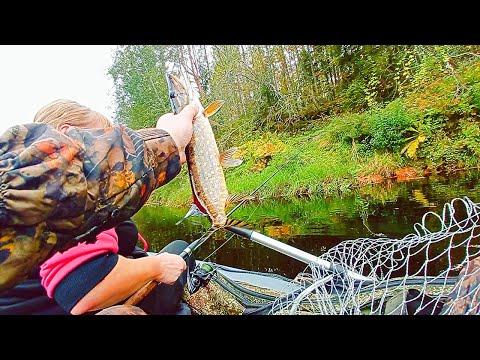 Видео: Вечерний сплав по реке осенью.Рыбалка на спиннинг с лодки.