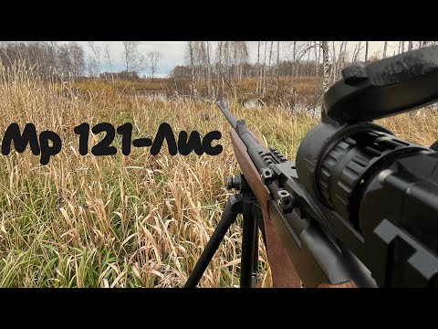 Видео: МР 121.ЛИС.НЕБОЛЬШОЙ ОТЗЫВ И ОБЩЕЕ ВПЕЧАТЛЕНИЕ.
