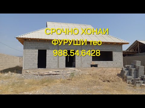 Видео: СРОЧНО ХОНАИ ФУРУШИ