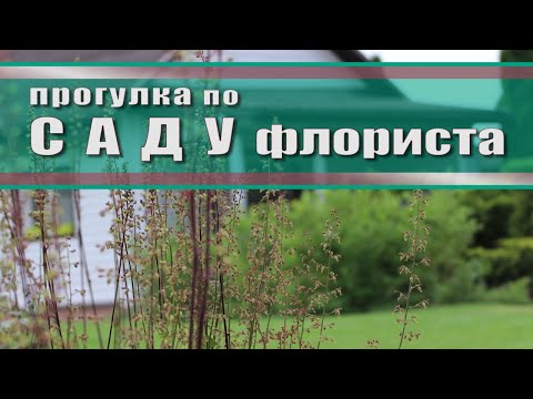 Видео: Прекрасный сад, созданный руками флориста // Обзор сада в июне // лето 2023