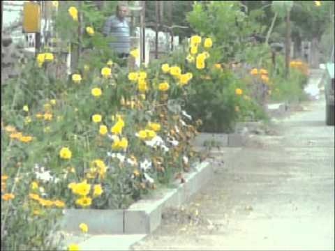 Видео: Tashir ТАШИР ՏԱՇԻՐ