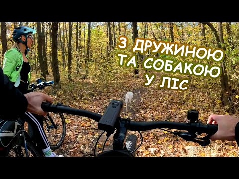 Видео: Релаксна покатуха на вельчиках у лісі