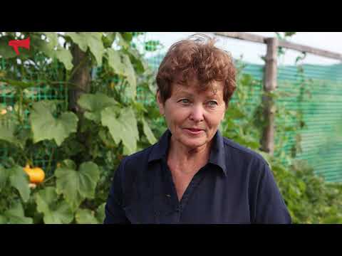 Видео: Травяные чаи, лимонник и кишмиш выращивают в Приморье на дальневосточном гектаре☕