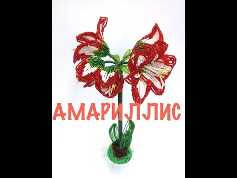 Видео: МК: ГИППЕРАСТРУМ / АМАРИЛЛИС из бисера. Часть 1/5. Tutorial: AMARYLLIS out of beads