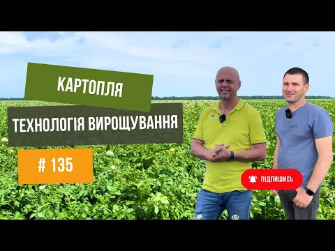 Видео: #135 Технологія вирощування КАРТОПЛІ 🥔Полтавська область. Частина 2 🔥 Фітосанітарне прополювання.