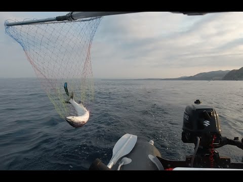 Видео: Троллинг на симу, на шары в две палки. Находка 18.05.2022.