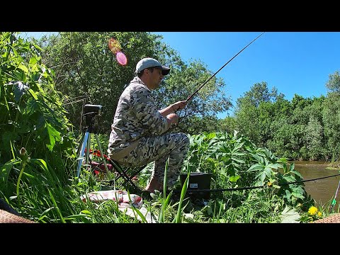 Видео: ЕСАУЛОВКА, РЫБНАЯ, ШАЛИНСКОЕ!! 17 июня