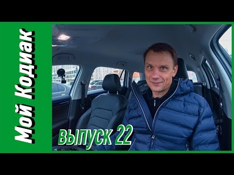 Видео: Мой Кодиак || ВОПРОС-ОТВЕТ #3. Отвечаю на вопросы зрителей. Смотри тайминг ↓