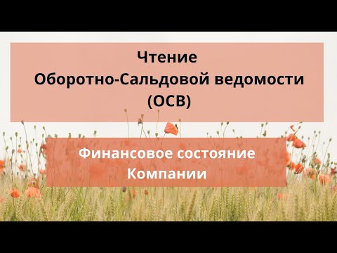 Видео: Чтение Оборотно Сальдовой ведомости (ОСВ), Финансовое состояние Компании, 2020г, Казахстан