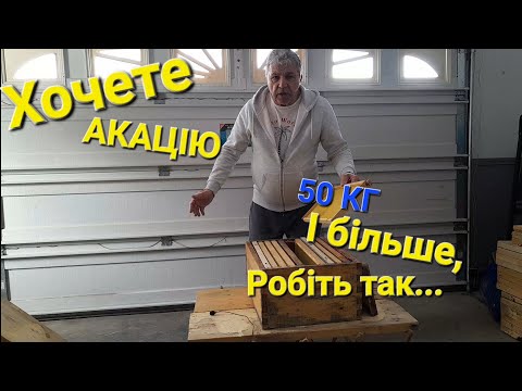 Видео: Хочете АКАЦІЮ 50 КГ І БІЛЬШЕ - робіть так... #пчеловодствов6тирамочныхульях