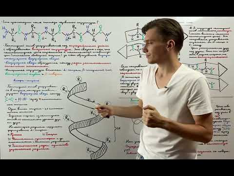Видео: Вторичная структура белка