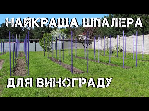 Видео: Найкраща шпалера для винограду