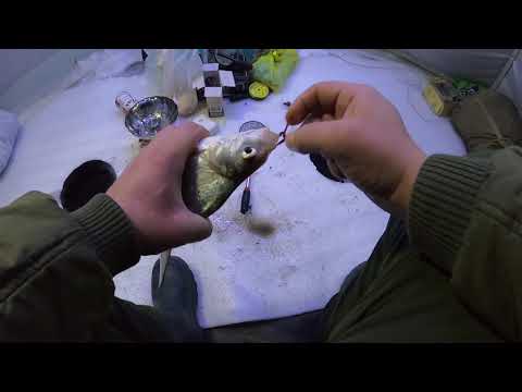 Видео: Печенежское вдхр. с.Хотомля{насосная} с ночевкой за подлещиком.