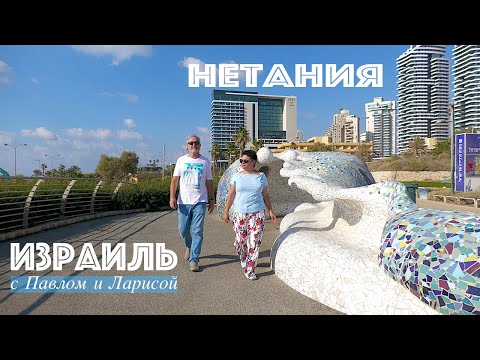 Видео: Израиль | Средиземное море | Нетания | Био объекты набережной и древняя сикомора