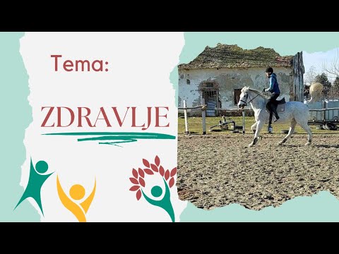 Видео: Сербский язык. Лексика по теме - здоровье.