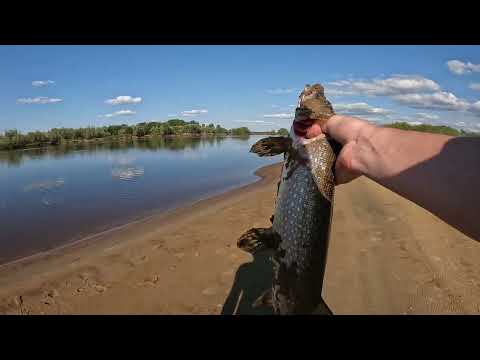 Видео: Рыбалка.Сибирь.Томская обл.,Верхнекетский р-он, р.Кеть