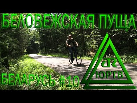 Видео: ЮРТВ 2016: Беларусь #10. Беловежская пуща и путь в Барановичи. [№171]