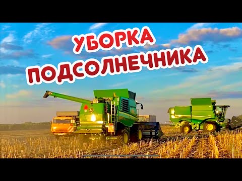 Видео: НОВАЯ ЖАТКА В ДЕЛЕ … УБОРКА ПОДСОЛНЕЧНИКА