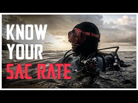 Видео: Как рассчитать расход газа (SAC/RMV) | Master Series