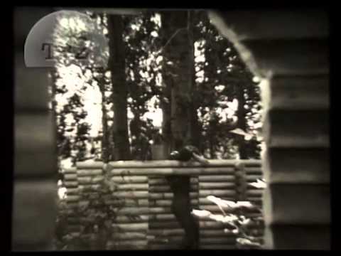 Видео: Томская кинолетопись  серия 9