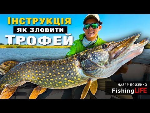 Видео: РАЙСЬКЕ Місце З Гігантськими Щуками і Судаками
