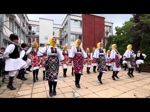 Видео: КУД Илинден, Битола - На ливада