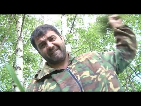 Видео: САУНАМЫГ ТОНЫНМА