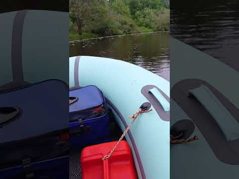 Видео: 14 июня 2025 г.