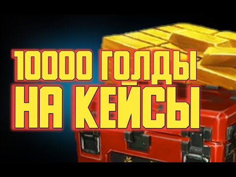 Видео: 10000 тысяч Голды на Элитные Кейсы [Модерн Опс]