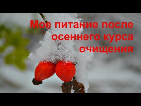 Видео: Мое питание после осеннего курса очищения. Бая Че Доктор Натуропатии